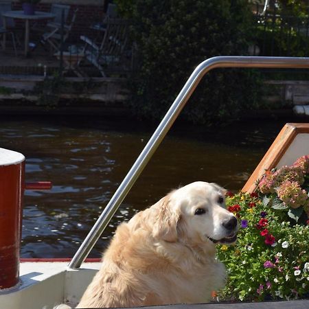 Aurora Bed and Breakfast Schiedam Buitenkant foto